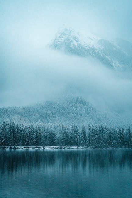 ¿Qué árboles soportan las heladas?